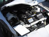 Picture 125 